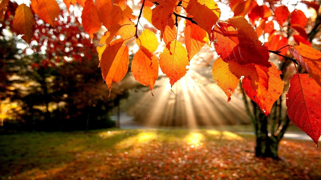 First Day of Fall