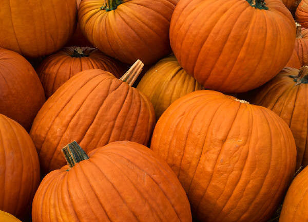 Fall Menu