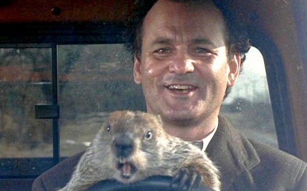 Happy Groundhog Day!