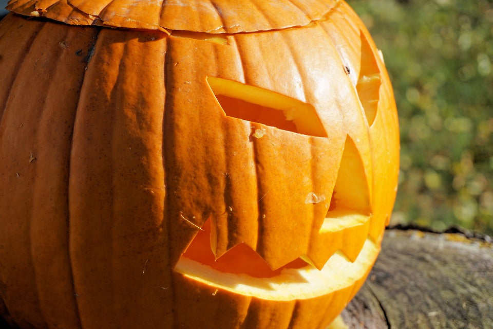 Our Fall Coffees are available and on SALE!!